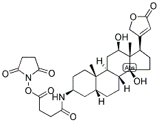 3-AMINO-3-DEOXYDIGOXIGENIN HEMISUCCINAMIDE, SUCCINIMIDYL ESTER Struktur