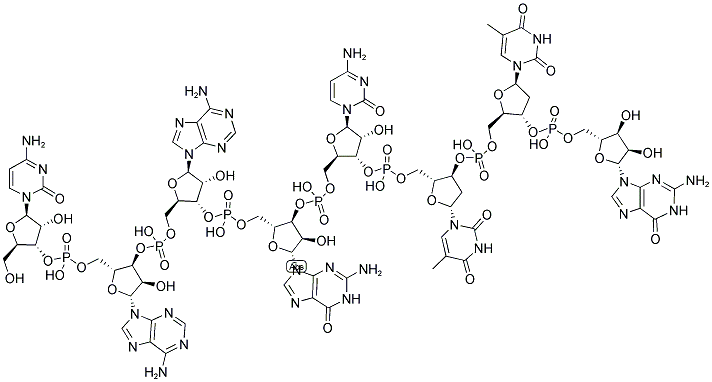 CAAGCTTG, 5'-NON-PHOSPHORYLATED Struktur