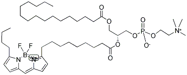 2-(5-BUTYL-4,4-DIFLUORO-4-BORA-3A,4A-DIAZA-S-INDACENE-3-NONANOYL)-1-HEXADECANOYL-SN-GLYCERO-3-PHOSPHOCHOLINE Struktur