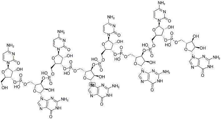 BSSH II LINKER, 5'-NON-PHOSPHORYLATED Struktur