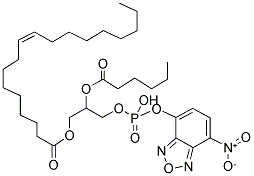 1-OLEOYL-2-[6-[(7-NITRO-2-1,3-BENZOXADIAZOL-4-YL)AMINO]CAPROYL]-SN-GLYCERO-3-PHOSPHATE(MONOSODIUM SALT)