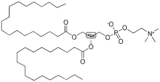 1,2-DINONADECANOYL-SN-GLYCERO-3-PHOSPHATIDYLCHOLINE Struktur