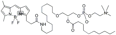 2-DECANOYL-1-(O-(11-(4,4-DIFLUORO-5,7-DIMETHYL-4-BORA-3A,4A-DIAZA-S-INDACENE-3-PROPIONYL)AMINO)UNDECYL)-SN-GLYCERO-3-PHOSPHOCHOLINE Struktur