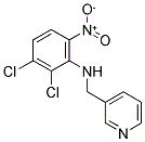 N1-(3-PYRIDYLMETHYL)-2,3-DICHLORO-6-NITROANILINE Struktur