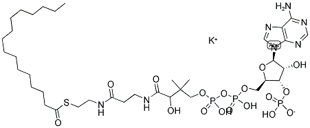 S-PALMITOYL COENZYME A POTASSIUM SALT Struktur