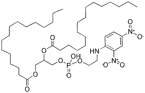 1,2-DIPALMITOYL-SN-GLYCERO-3-PHOSPHOETHANOLAMINE-N-(2,4-DINITROPHENYL)