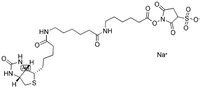 6-((6-((BIOTINOYL)AMINO)HEXANOYL) AMINO)HEXANOIC ACID, SULFOSUCCINIMIDYL ESTER SODIUM SALT Struktur