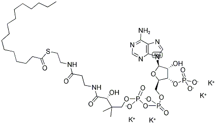 S-PALMITOYL COENZYME A TETRAPOTASSIUM SALT Struktur