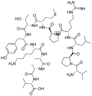 NEF (74-85) Struktur