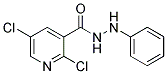 N'3-PHENYL-2,5-DICHLOROPYRIDINE-3-CARBOHYDRAZIDE Struktur