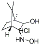 (+)-3-HYDROXYLAMINO ISOBORNEOL HYDROCHLORIDE Struktur