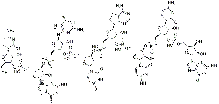 CGGTACCG, 5'-NON-PHOSPHORYLATED Struktur