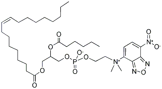 1-OLEOYL-2-[6-[(7-NITRO-2-1,3-BENZOXADIAZOL-4-YL)AMINO]CAPROYL]-SN-GLYCERO-3-PHOSPHOCHOLINE Struktur