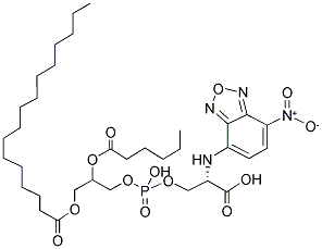 1-PALMITOYL-2-[6-[(7-NITRO-2-1,3-BENZOXADIAZOL-4-YL)AMINO]CAPROYL]-SN-GLYCERO-3-PHOSPHOSERINE(SODIUM SALT)