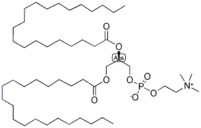 1,2-DIHENEICOSANOYL-SN-GLYCERO-3-PHOSPHOCHOLINE Struktur