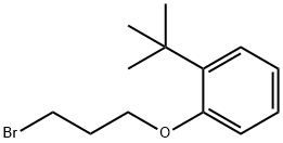 1-(3-BROMO-PROPOXY)-2-TERT-BUTYL-BENZENE Struktur