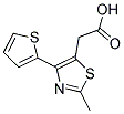 (2-METHYL-4-THIEN-2-YL-1,3-THIAZOL-5-YL)ACETIC ACID Struktur