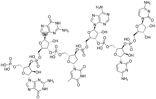 GGTACC, 5'-PHOSPHORYLATED Struktur