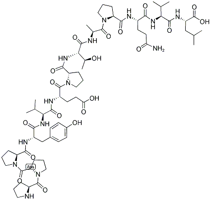 P19 (118-130) Struktur