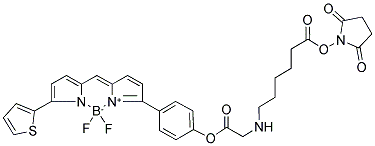 6-(((4-(4,4-DIFLUORO-5-(2-THIENYL)-4-BORA-3A,4A-DIAZA-S-INDACENE-3-YL) PHENOXY)ACETYL)AMINO)HEXANOIC ACID, SUCCINIMIDYL ESTER Struktur