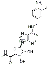 1-[6-[[(4-AMINO-3-IODOPHENYL)METHYL]AMINO]-9H-PURIN-9-YL]-1-DEOXY-N-METHYL-BETA-D-RIBOFURANURONAMIDE Struktur