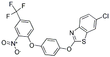 6-CHLORO2-(4-[4-(TRIFLUOROMETHYL)-2-NITROPHENOXY]-PHENOXY)-BENZO[D]THIAZOLE Struktur