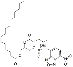 1-PALMITOYL-2-[6-[(7-NITRO-2-1,3-BENZOXADIAZOL-4-YL)AMINO]CAPROYL]-SN-GLYCERO-3-PHOSPHATE(MONOSODIUM SALT)