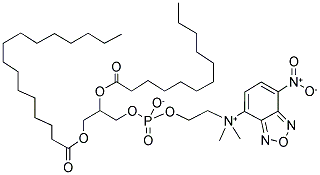 1-PALMITOYL-2-[12-[(7-NITRO-2-1,3-BENZOXADIAZOL-4-YL)AMINO]DODECANOYL]-SN-GLYCERO-3-PHOSPHOCHOLINE Struktur