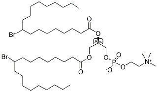 1,2-DIBROMOSTEAROYL-SN-GLYCERO-3-PHOSPHOCHOLINE Struktur