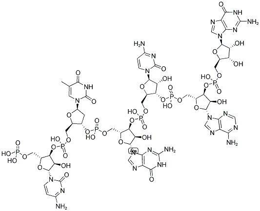 CTGCAG, 5'-PHOSPHORYLATED Struktur