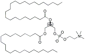 1,2-DITRICOSANOYL-SN-GLYCERO-3-PHOSPHOCHOLINE Struktur