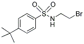 N1-(2-BROMOETHYL)-4-(TERT-BUTYL)BENZENE-1-SULFONAMIDE Struktur