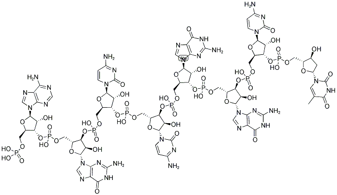 AGCCGGCT, 5'-PHOSPHORYLATED Struktur