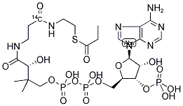 PROPIONYL COENZYME A, [1-14C]- Struktur