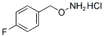 1-[(AMMONIOOXY)METHYL]-4-FLUOROBENZENE CHLORIDE Struktur