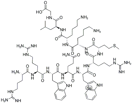 ARG-ARG-TRP-GLN-TRP-ARG-MET-LYS-LYS-LEU-GLY Struktur