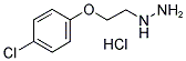 [2-(4-CHLOROPHENOXY)ETHYL]HYDRAZINE HYDROCHLORIDE Struktur