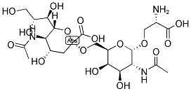 STN EPITOPE Struktur