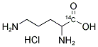 DL-ORNITHINE HYDROCHLORIDE, [1-14C]- Struktur