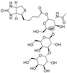  化學(xué)構(gòu)造式