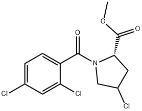 METHYL 4-CHLORO-1-(2,4-DICHLOROBENZOYL)-2-PYRROLIDINECARBOXYLATE Struktur