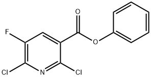 PHENYL 2,6-DICHLORO-5-FLUORONICOTINATE Struktur