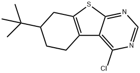 7-TERT-BUTYL-4-CHLORO-5,6,7,8-TETRAHYDRO-BENZO[4,5]THIENO[2,3-D]PYRIMIDINE price.