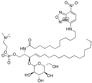 C12 NBD GLUCOSYL CERAMIDE