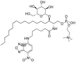 C6 NBD GLUCOSYL CERAMIDE