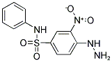 4-HYDRAZINO-3-NITRO-N-PHENYL-BENZENESULFONAMIDE Struktur