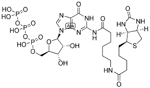 BIOTIN-11-GTP Struktur