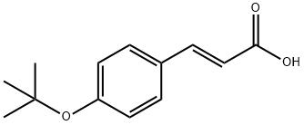 (3E)-3-(4-TERT-BUTOXY-PHENYL)ACRYLIC ACID Struktur