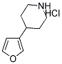 4-(3-FURYL) PIPERIDINE HCL Struktur