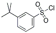 3-TERT-BUTYL BENZENESULFONYL CHLORIDE Struktur